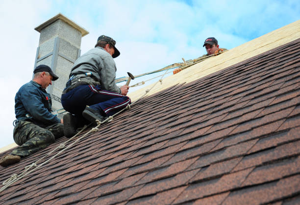 Best Residential Roofing Contractor  in Naples Park, FL